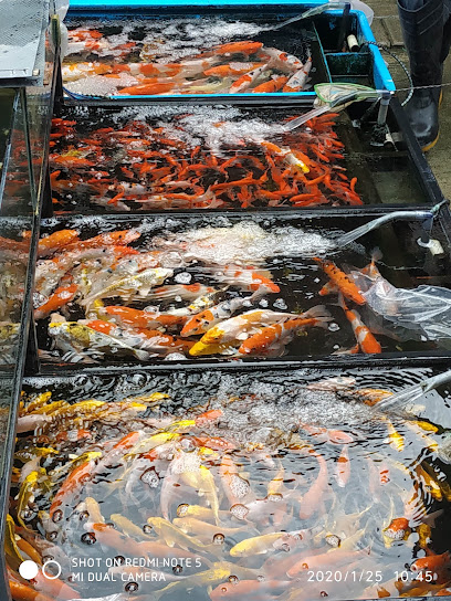 Pasar Ikan Hias Jatinegara