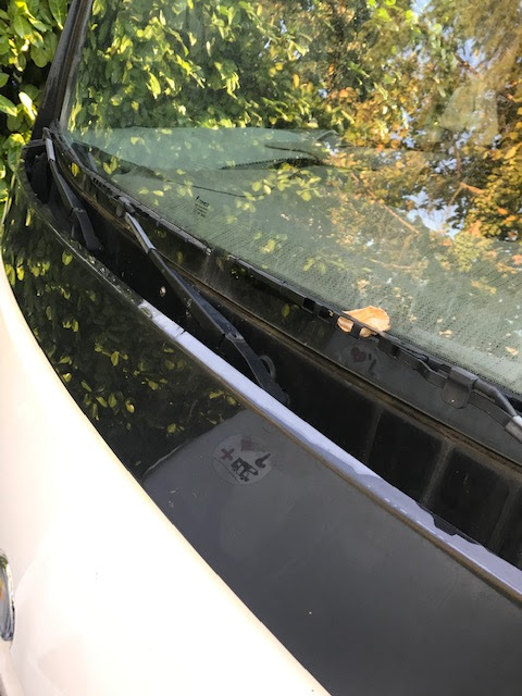 Photo n° 3 de l'avis de Didier.e fait le 26/09/2019 à 12:52