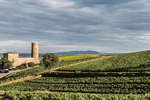 Château des Tours à Saint-Étienne-la-Varenne