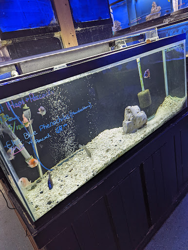 Pet Store «Coral Reef Pet Center», reviews and photos, 7723 W Lawrence Ave, Norridge, IL 60706, USA