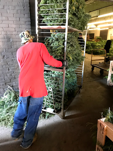 Wholesale Florist «Premier Foliage & Flowering», reviews and photos, 5748 Baum Blvd, Pittsburgh, PA 15206, USA