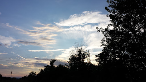 Lansing Center Trail
