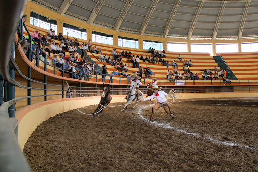 Lienzo Charro 