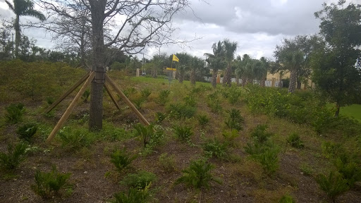 Park «Cypress Preserve Park», reviews and photos, 9020 NW 38th St, Sunrise, FL 33351, USA