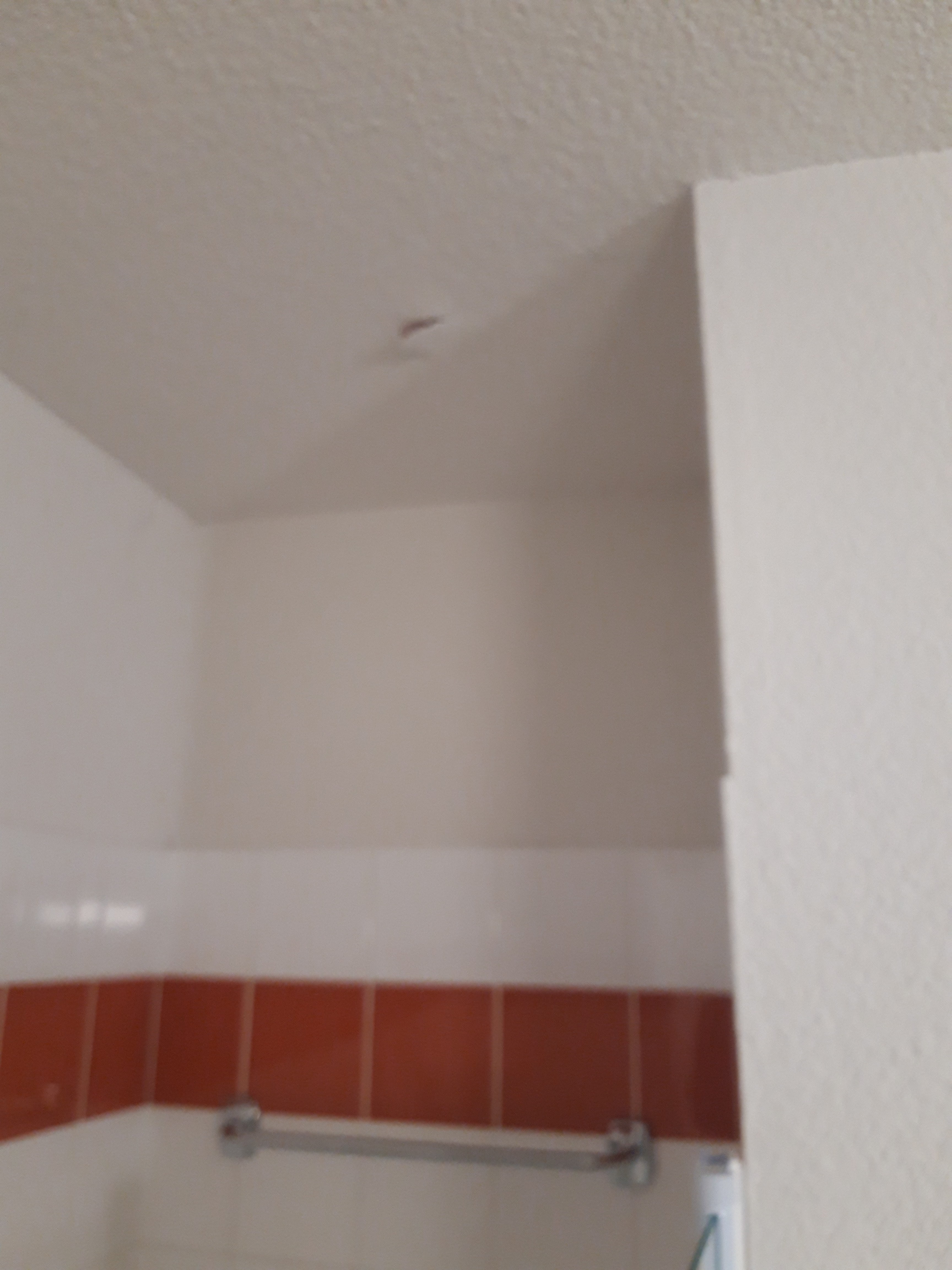 Photo n° 3 de l'avis de LAURENT.U fait le 15/11/2019 à 14:27