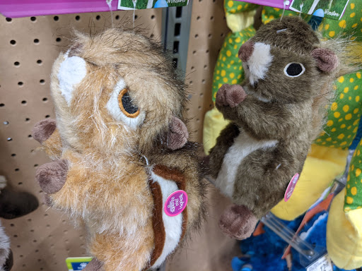 Pet Store «PetSmart», reviews and photos, 850 Folly Rd, Charleston, SC 29412, USA