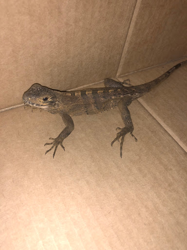 Pet Store «Everything Pet», reviews and photos, 3616 N Fry Rd, Katy, TX 77449, USA