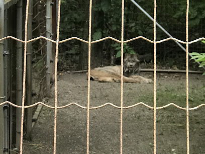 White Lion Exhibit