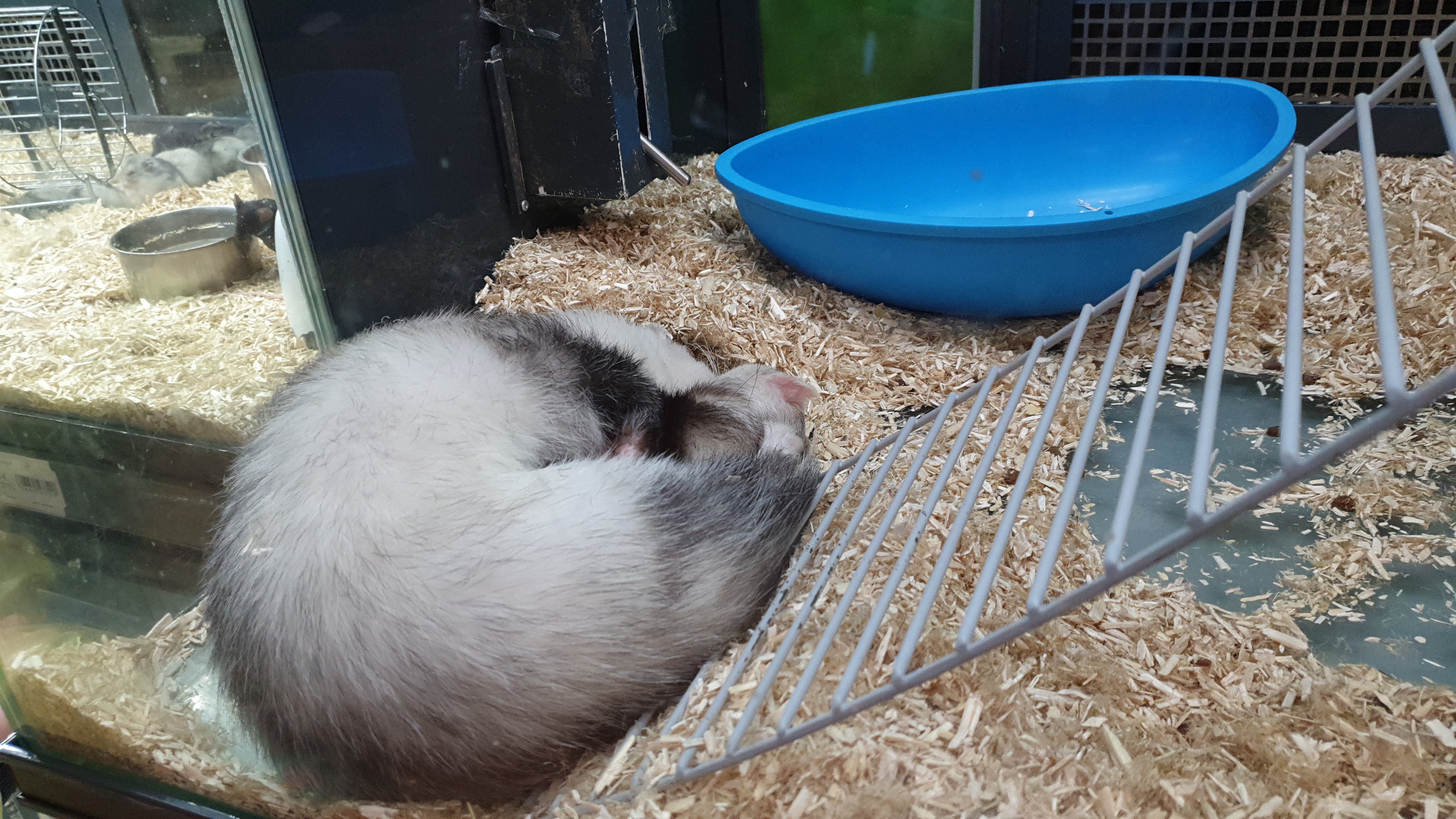 Photo n° 4 de l'avis de Romain.I fait le 09/06/2019 à 15:57