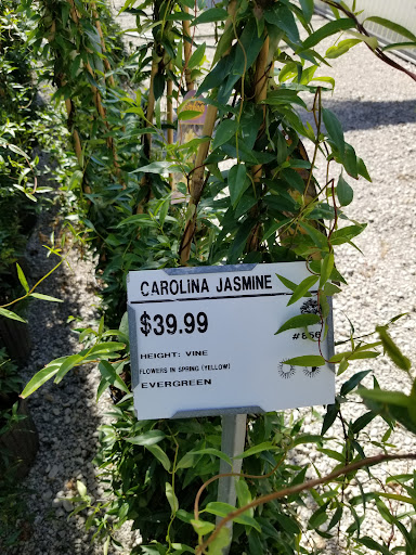 Plant Nursery «Guerin Nursery and Boutique», reviews and photos, 1418 Fall Creek Hwy, Granbury, TX 76049, USA