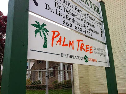 Palm Tree Branding & Web Design