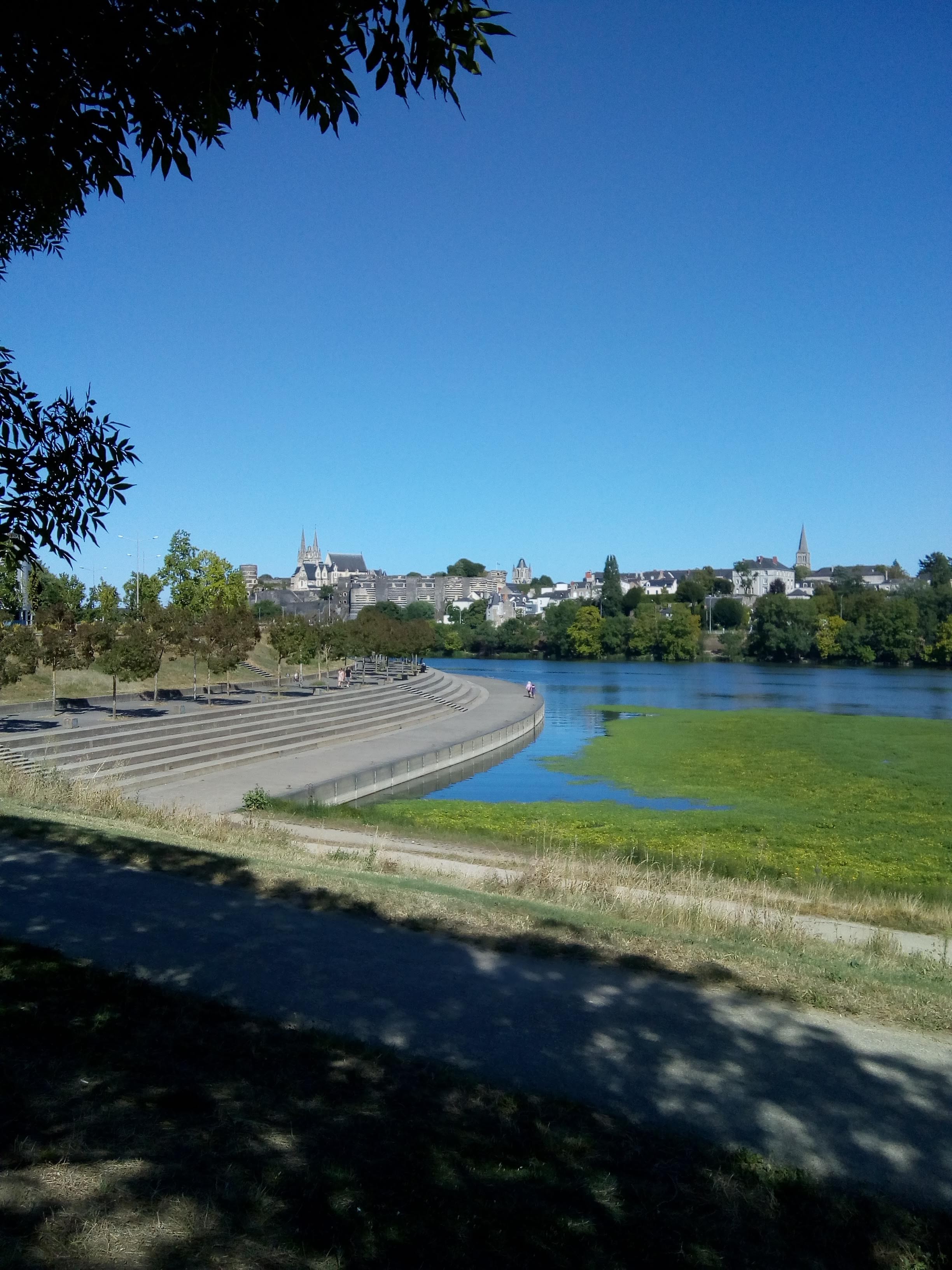 Photo n° 1 de l'avis de rené.i fait le 09/11/2022 à 11:49