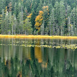 Photo n°5 de l'avis de Manuel.u fait le 25/10/2023 à 19:08 sur le  Arberseehaus à Bayerisch Eisenstein
