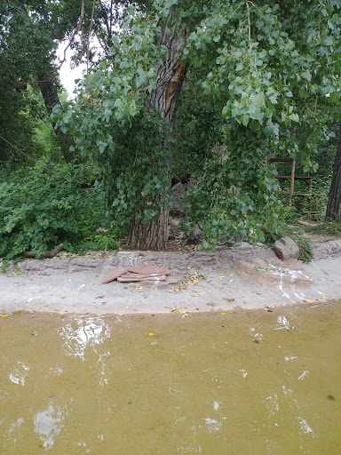 Zoo «Monkey Island», reviews and photos, 8 E 23rd Ave, Denver, CO 80205, USA