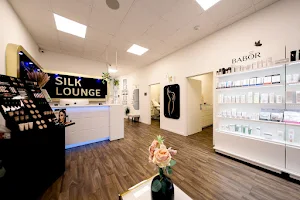 Silk Lounge image