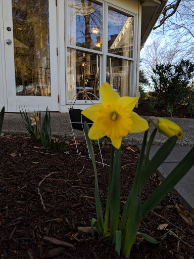 Hotel «Historic Kent Manor Inn», reviews and photos, 500 Kent Manor Dr, Stevensville, MD 21666, USA