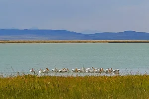 Freezout Lake Wildlife Management Area image