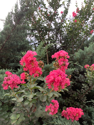 Recreation Center «J.P. Moseley Recreation Center-North Henry Tigers», reviews and photos, 1041 Millers Mill Rd, Stockbridge, GA 30281, USA