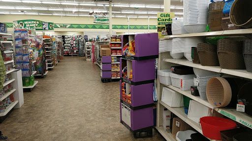 Dollar Store «Dollar Tree», reviews and photos, 1400 E Grand Ave a, Arroyo Grande, CA 93420, USA