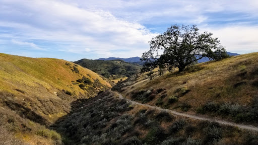 Cheeseboro and Palo Comado Canyon