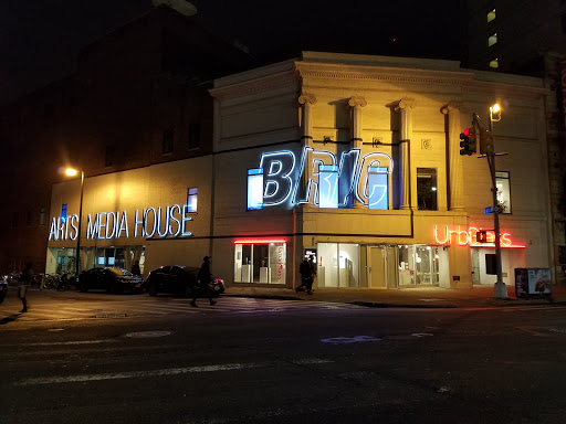 Performing Arts Theater «BAM Harvey Theater», reviews and photos, 651 Fulton St, Brooklyn, NY 11217, USA