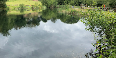 Eisteddfa Fishery & Cafe