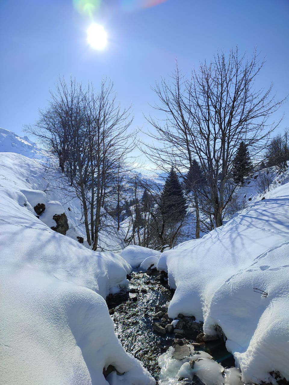 Photo n° 1 de l'avis de Patrycia. fait le 30/01/2023 à 16:57