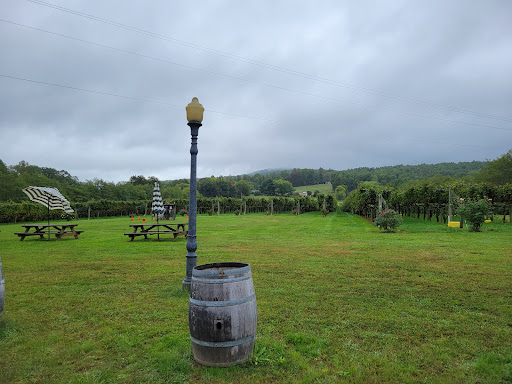 Vineyard «Horton Vineyards», reviews and photos, 6399 Spotswood Trail, Gordonsville, VA 22942, USA