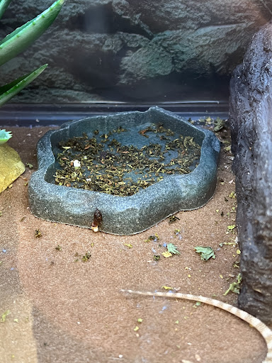 Pet Supply Store «Petco Animal Supplies», reviews and photos, 200 Center Blvd S, Christiana, DE 19702, USA