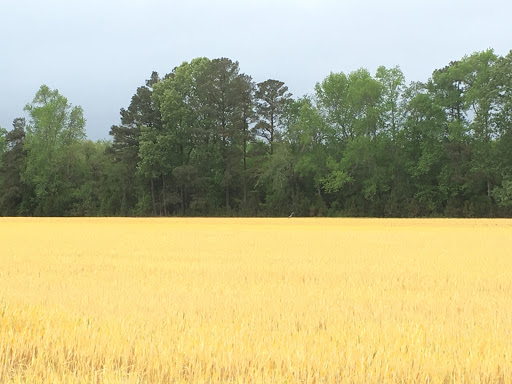 Golf Course «Piankatank River Golf Course», reviews and photos, 6198 Stormont Rd, Hartfield, VA 23071, USA