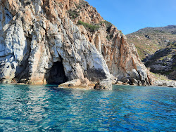 Corvo Beach'in fotoğrafı vahşi alan