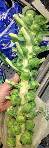 Supermarket «Giant», reviews and photos, 948 Bay Ridge Rd, Annapolis, MD 21403, USA