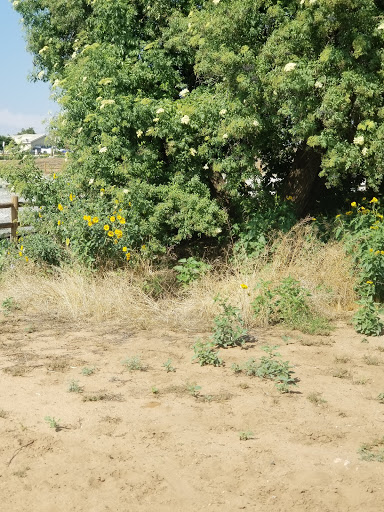 Public Golf Course «Paradise Knolls Golf Course», reviews and photos, 9330 Limonite Ave, Riverside, CA 92509, USA