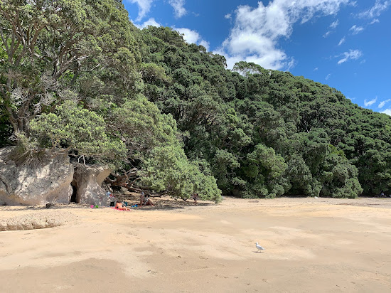 Lonely Bay