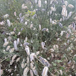 Photo n°5 de l'avis de Solange.a fait le 08/07/2019 à 00:35 sur le  Trebid'Ouro à Vale de Cambra