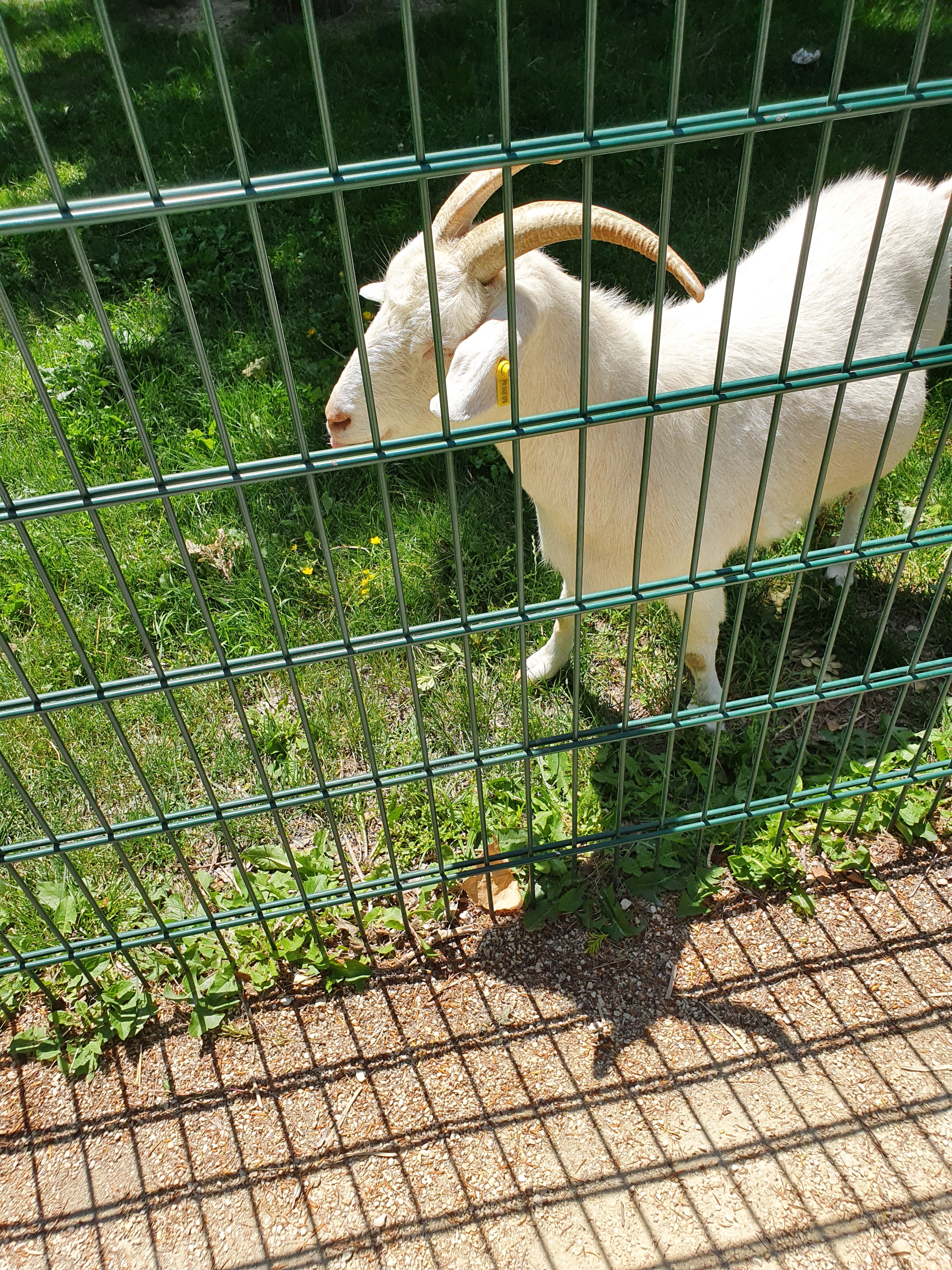 Photo n° 8 de l'avis de LD.R fait le 11/05/2019 à 12:31
