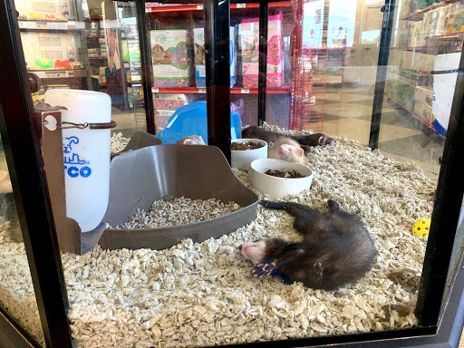 Pet Supply Store «Petco Animal Supplies», reviews and photos, 1450 Twixt Town Rd, Marion, IA 52302, USA