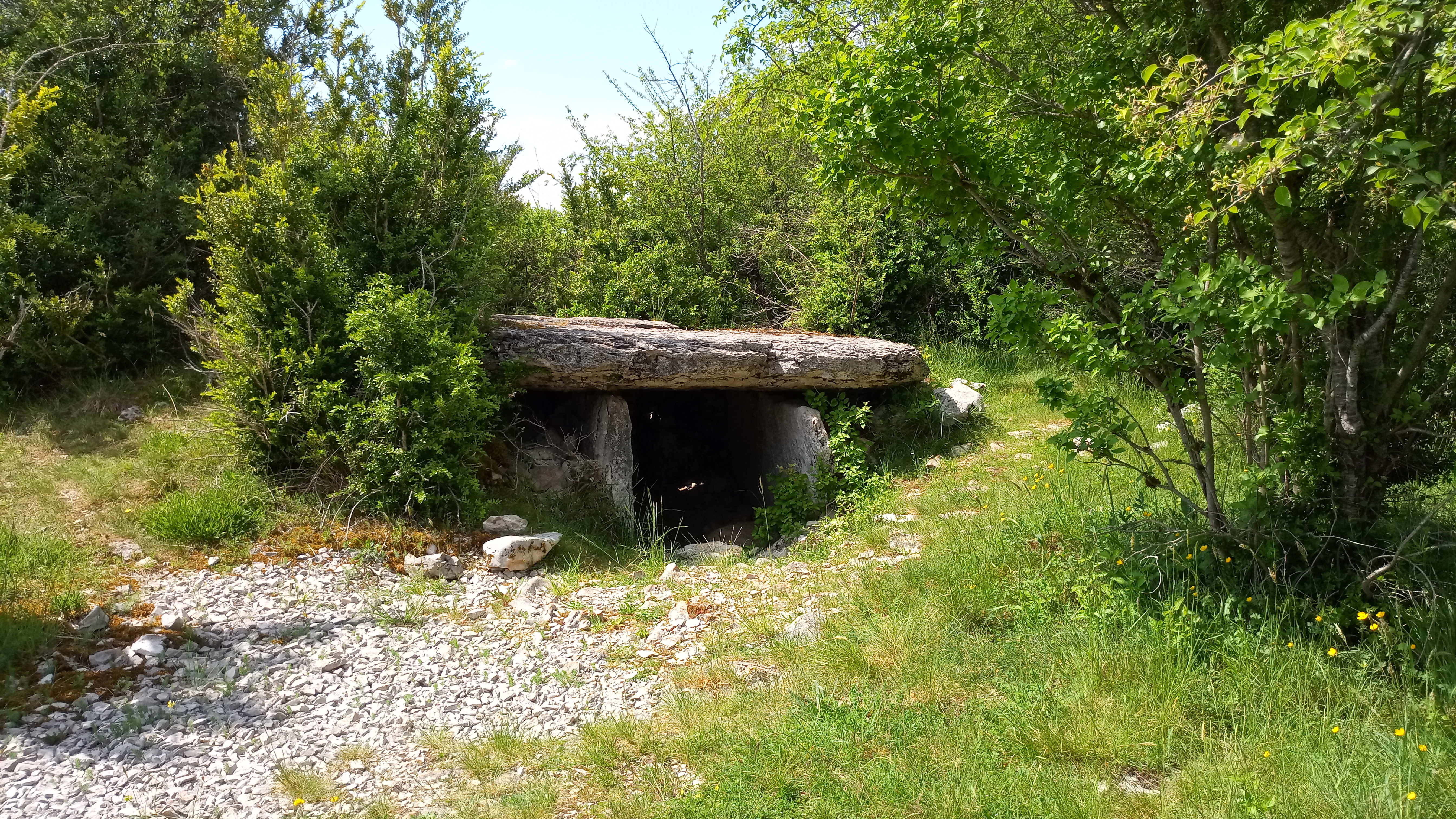 Photo n° 5 de l'avis de jean-françois.4 fait le 01/05/2022 à 15:48