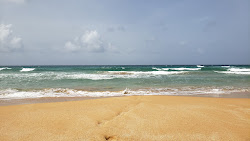 Zdjęcie Playa Migel dziki obszar