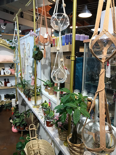 Gift Shop «Pangaea Outpost», reviews and photos, 909 Garnet Ave, San Diego, CA 92109, USA