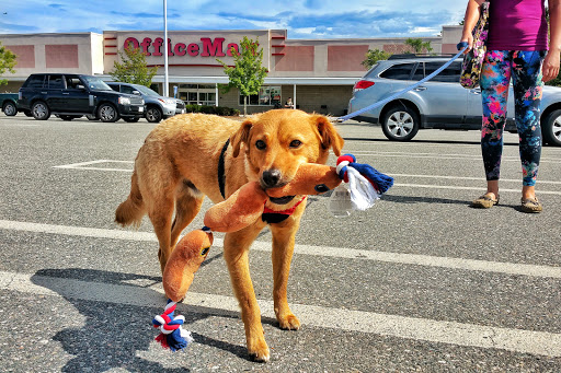 Pet Supply Store «Petco Animal Supplies», reviews and photos, 1775 Washington St, Hanover, MA 02339, USA