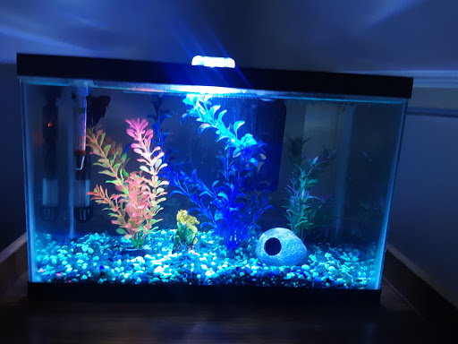 Pet Supply Store «Petco Animal Supplies», reviews and photos, 300 Quaker Ln #3, Warwick, RI 02886, USA