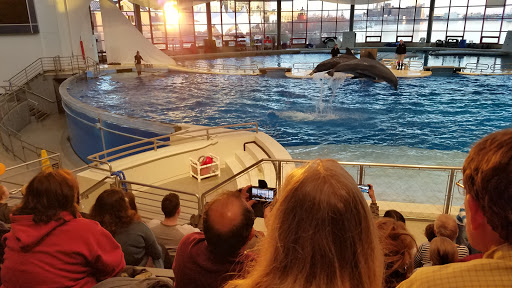 Aquarium «Marine Mammal Pavilion», reviews and photos, Pier 4, Baltimore, MD 21202, USA