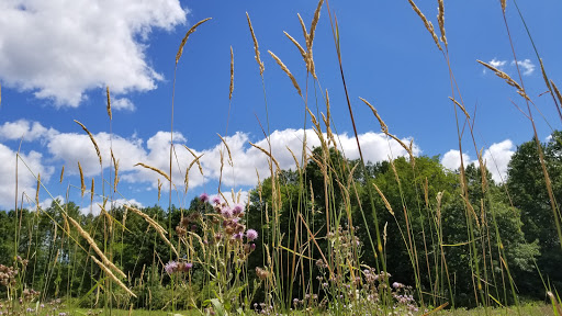 Golf Course «Lyon Oaks Golf Club», reviews and photos, 52251 Pontiac Trail, Wixom, MI 48393, USA