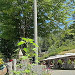 Photo n°2 de l'avis de patrizia.a fait le 31/07/2021 à 17:13 sur le  Trattoria Al Valico à Fontanigorda