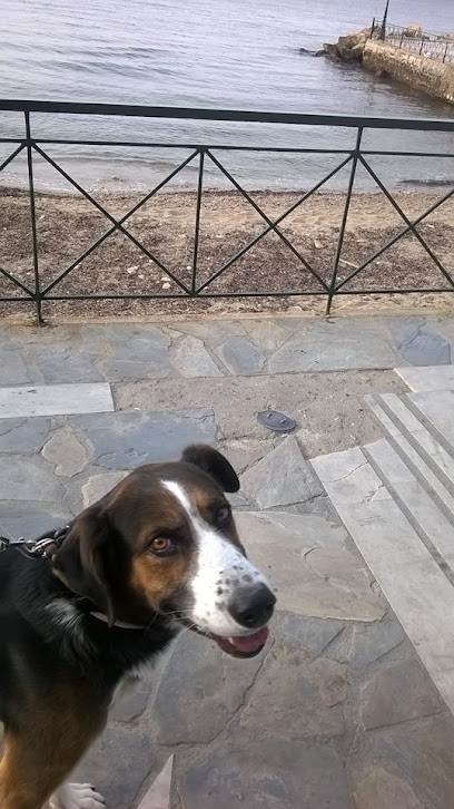 Dog walking & Pet sitting - Σκυλοπερπατήματα