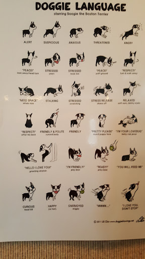 Animal Shelter «Oregon Humane Society», reviews and photos