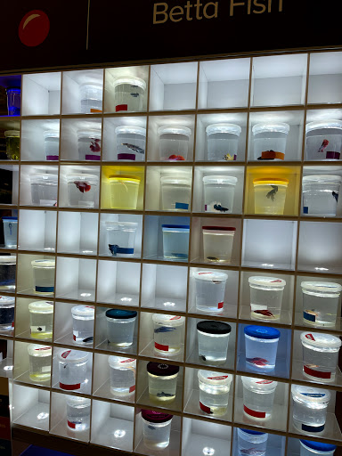 Pet Supply Store «PetSmart», reviews and photos, 155 E Rte 59, Nanuet, NY 10954, USA