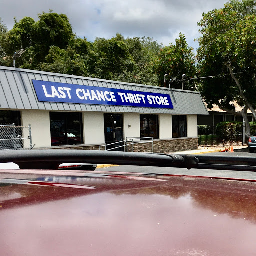 Last Chance Thrift Store, 36500 US Hwy 19 N, Palm Harbor, FL 34684, USA, 