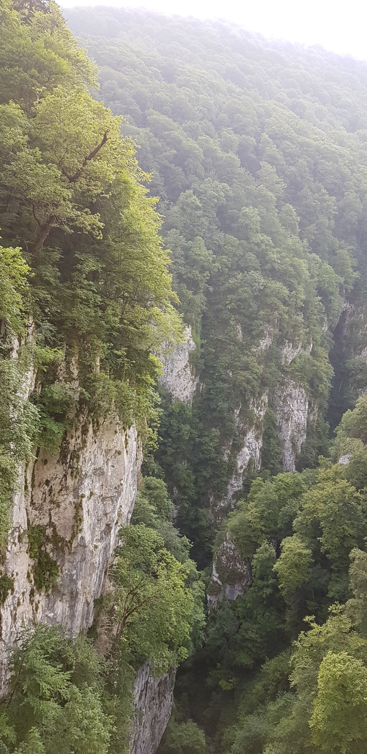Photo n° 17 de l'avis de Julie.u fait le 29/07/2019 à 22:36